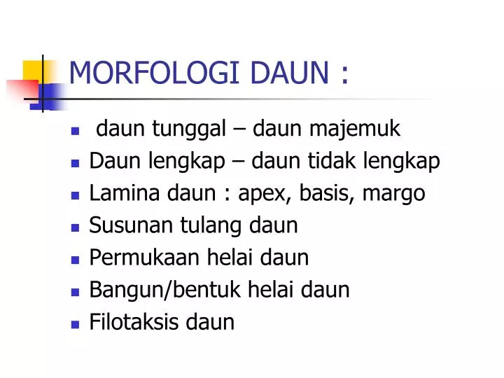 morfologi daun
