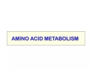 AMINO ACID METABOLISM