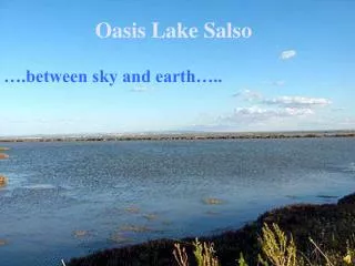 Oasis Lake Salso