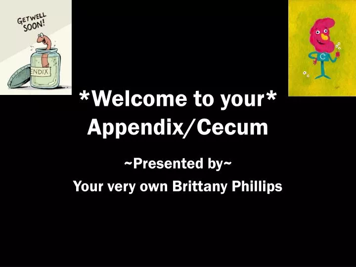 welcome to your appendix cecum