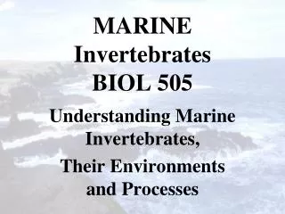 MARINE Invertebrates BIOL 505