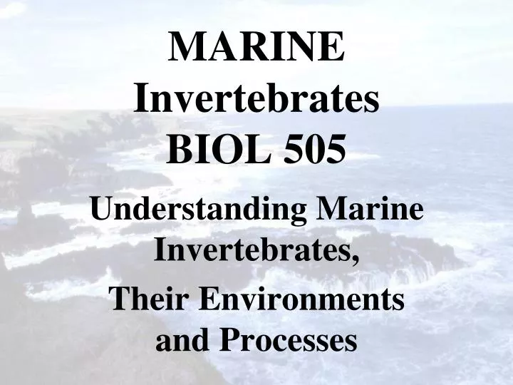 marine invertebrates biol 505