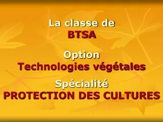 la classe de btsa