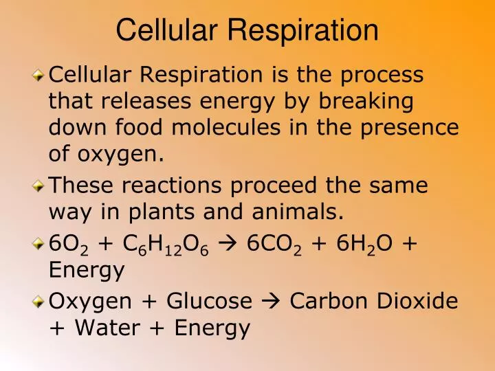 cellular respiration