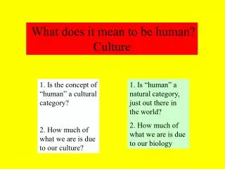 What does it mean to be human? Culture