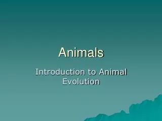 Animals