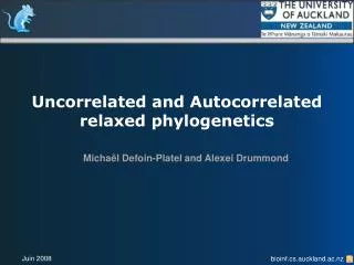 Uncorrelated and Autocorrelated relaxed phylogenetics