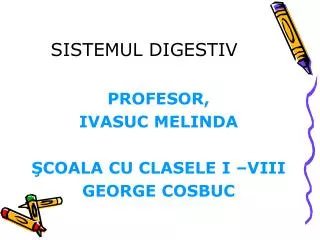 sistemul digestiv