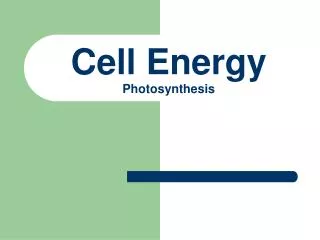 Cell Energy Photosynthesis