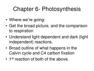 Chapter 6- Photosynthesis