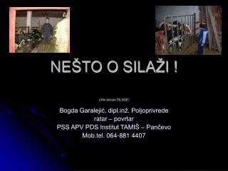 ne to o sila i