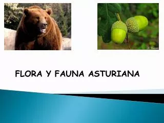FLORA Y FAUNA ASTURIANA