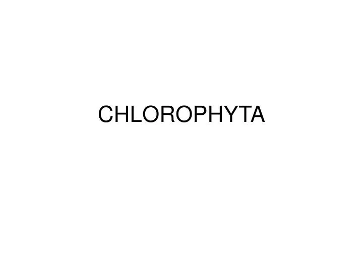 chlorophyta