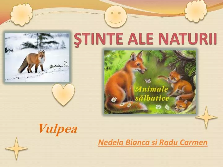 tinte ale naturii