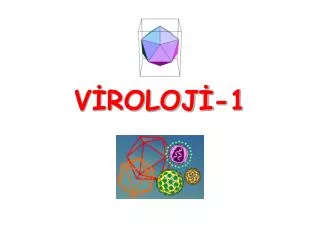 v roloj 1