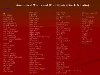 Anatomical Words and Word Roots (Greek &amp; Latin) a - azyg A a(n)- without ab- away from