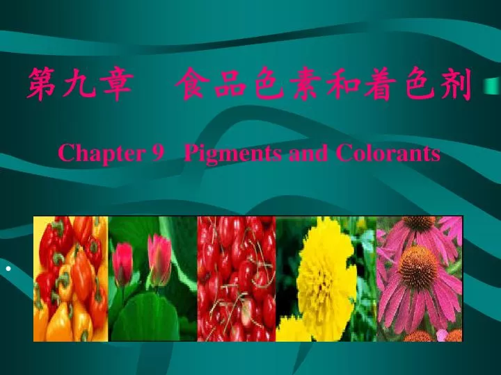 chapter 9 pigments and colorants