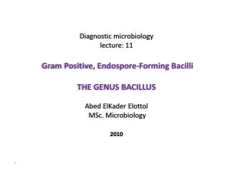 Diagnostic microbiology lecture: 11 Gram Positive, Endospore -Forming Bacilli THE GENUS BACILLUS
