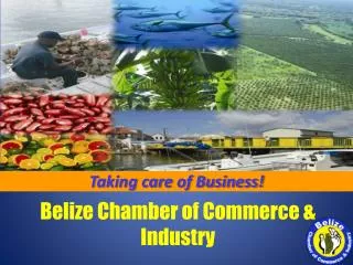 Belize Chamber of Commerce &amp; Industry