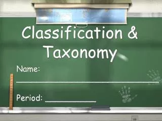 Classification &amp; Taxonomy