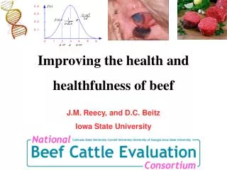 Improving the health and healthfulness of beef J.M. Reecy, and D.C. Beitz Iowa State University