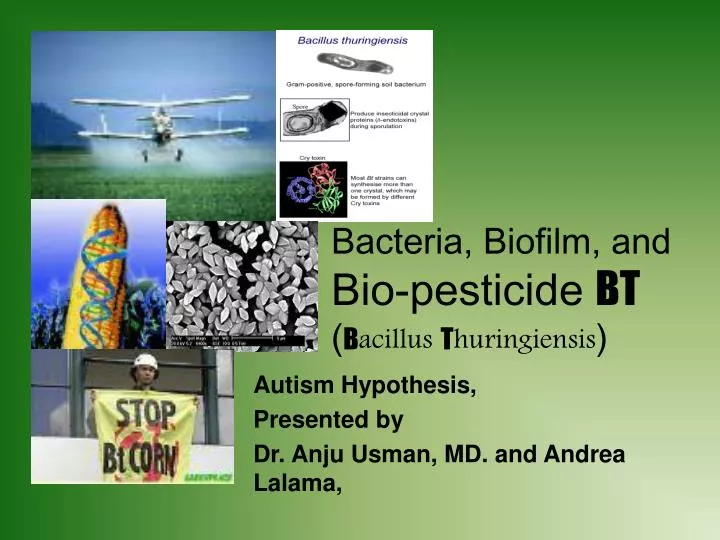 bacteria biofilm and bio pesticide bt b acillus t huringiensis