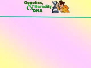 Heredity : the passing of traits from 	 parent to offspring