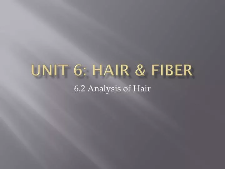 unit 6 hair fiber