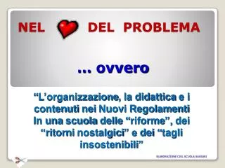 nel del problema