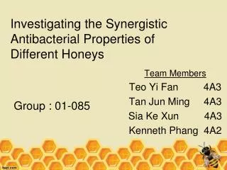 Investigating the Synergistic Antibacterial Properties of Different Honeys