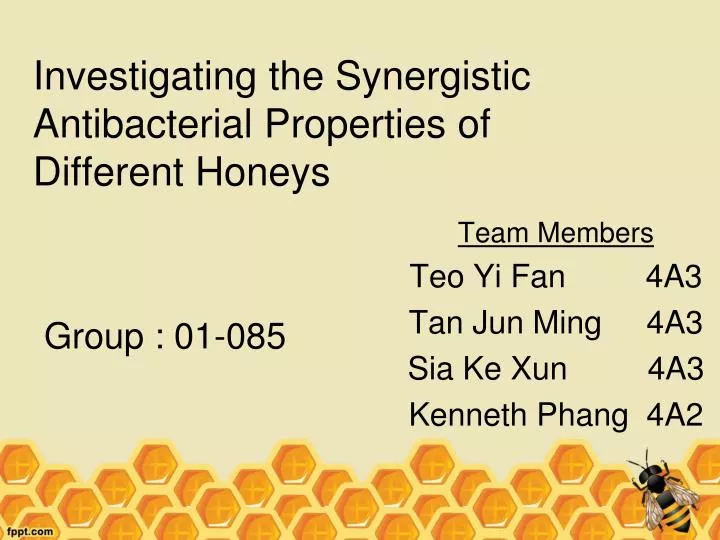 investigating the synergistic antibacterial properties of different honeys