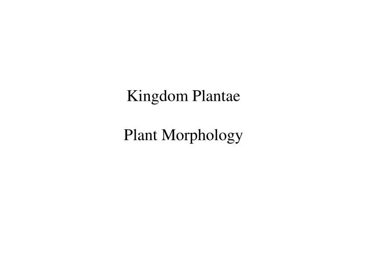 kingdom plantae plant morphology