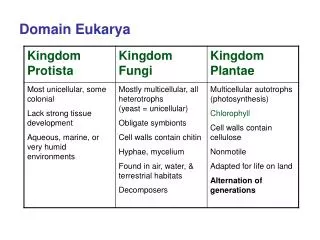 Domain Eukarya