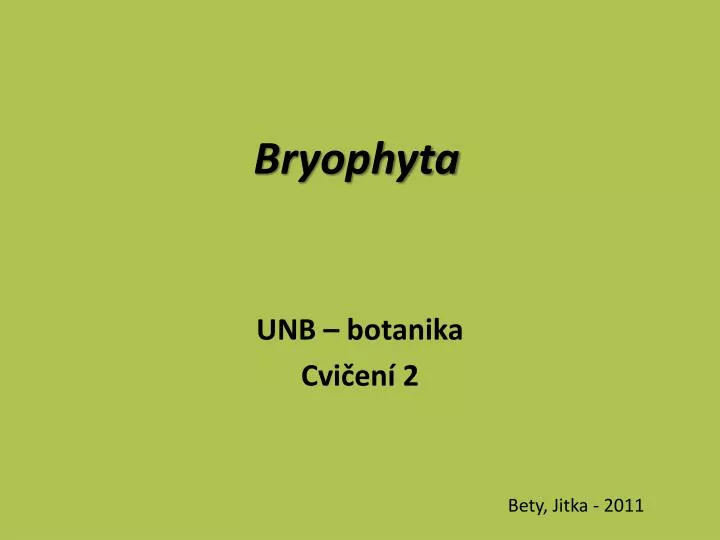 bryophyta