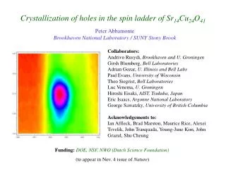 Crystallization of holes in the spin ladder of Sr 14 Cu 24 O 41