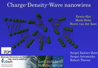 Charge-Density-Wave nanowires