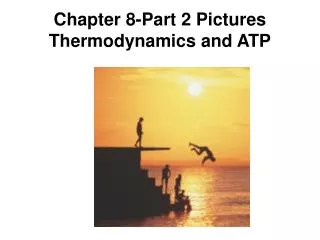 Chapter 8-Part 2 Pictures Thermodynamics and ATP