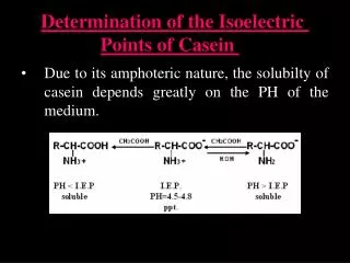 Determination of the Isoelectric Points of Casein