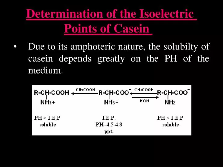 determination of the isoelectric points of casein
