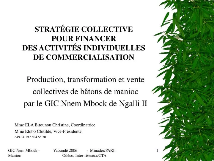 strat gie collective pour financer des activit s individuelles de commercialisation