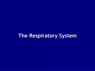 The Respiratory System