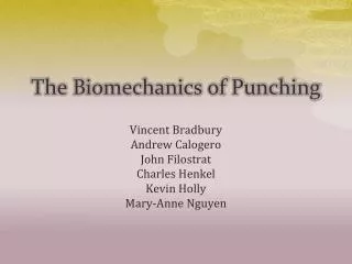 The Biomechanics of Punching