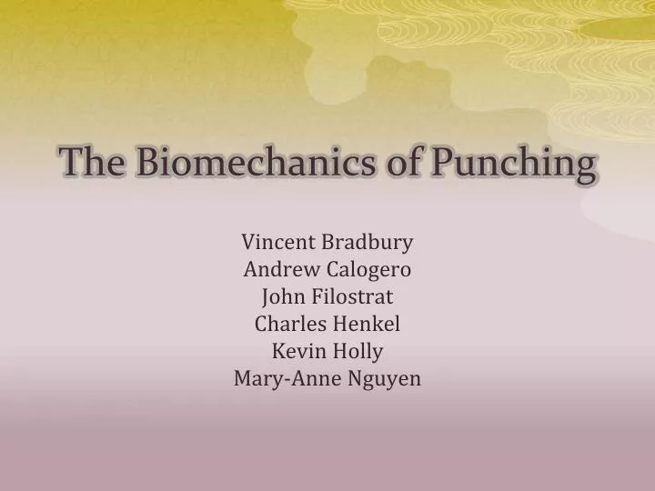 the biomechanics of punching