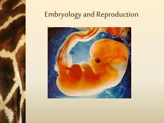 Embryology and Reproduction