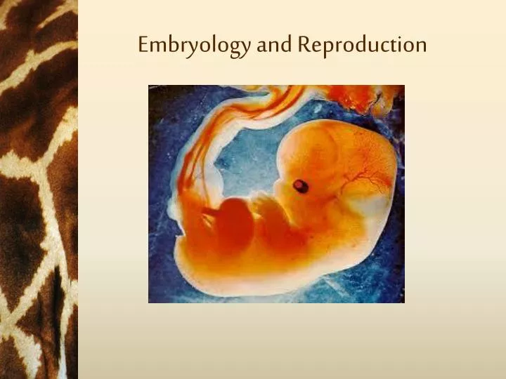 embryology and reproduction