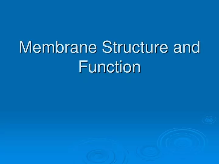 membrane structure and function