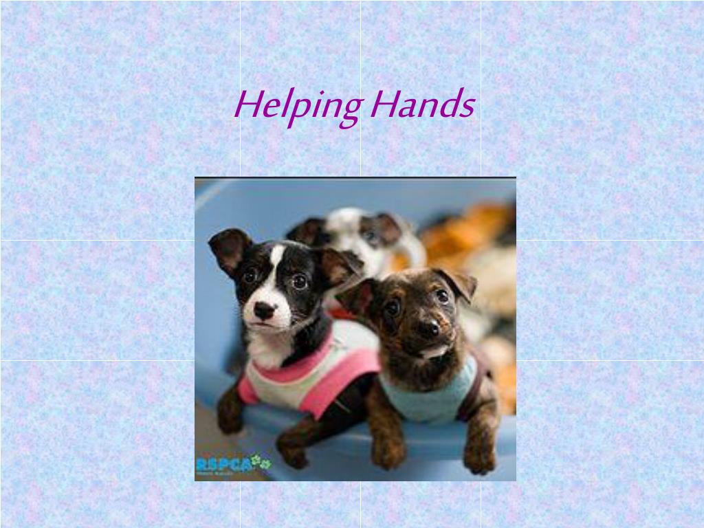 PPT - Helping Hands PowerPoint Presentation, free download - ID:2977014