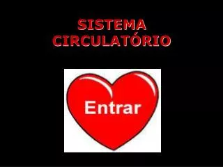 sistema circulat rio
