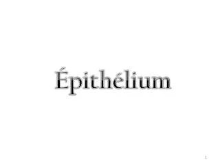 pith lium
