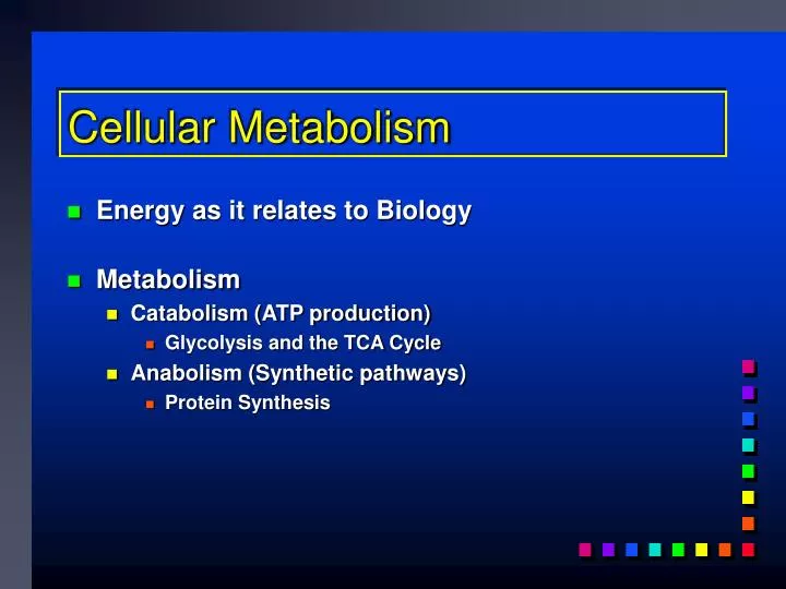 cellular metabolism